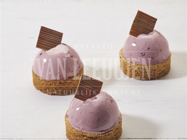 Slofje bosvruchten p.st.